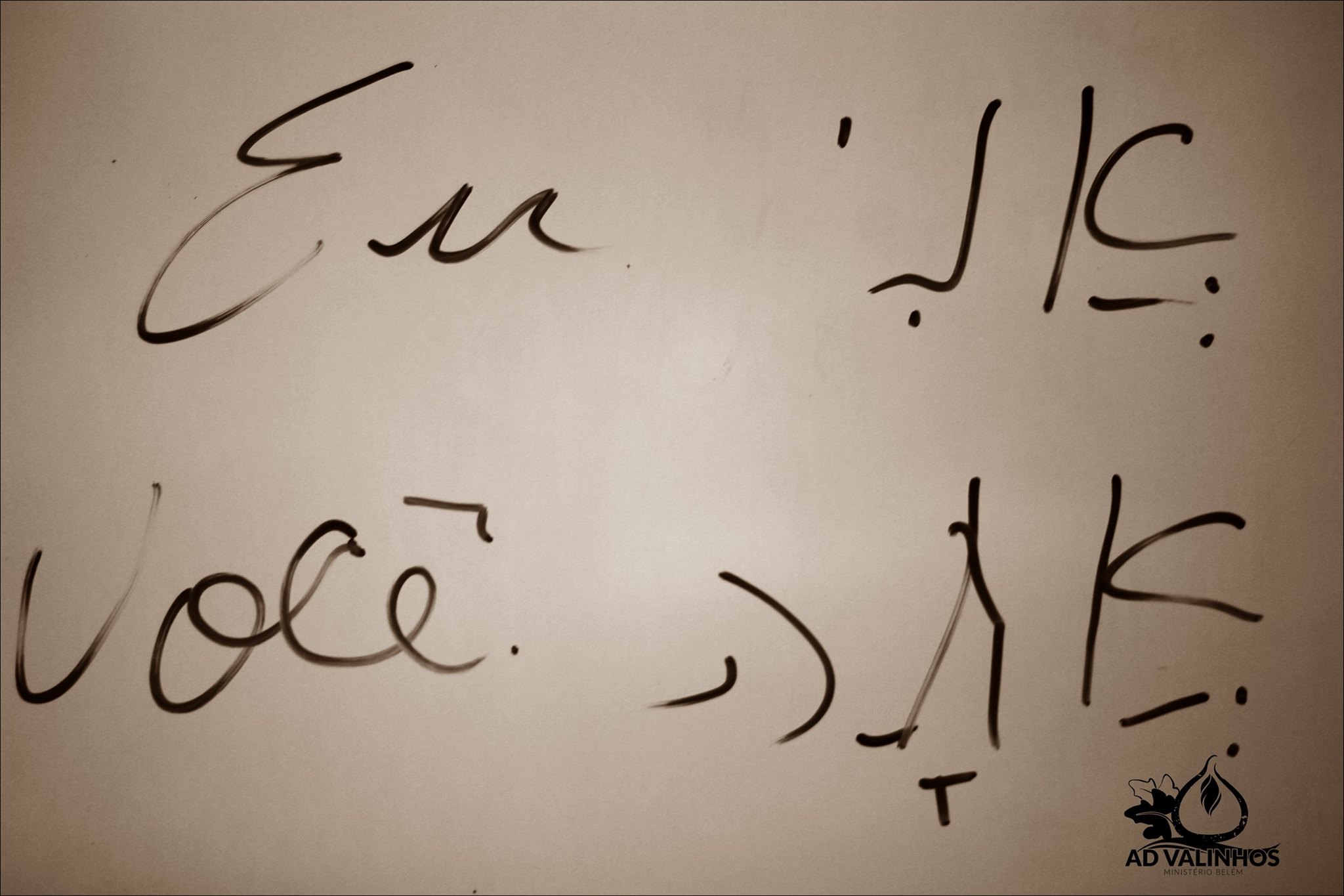 18278487_832185663596008_7204284347509774593_o.jpg